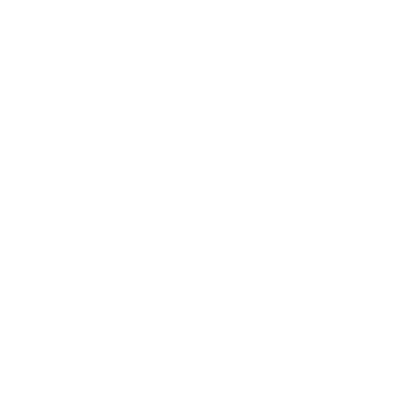BELLA GROOVE — home